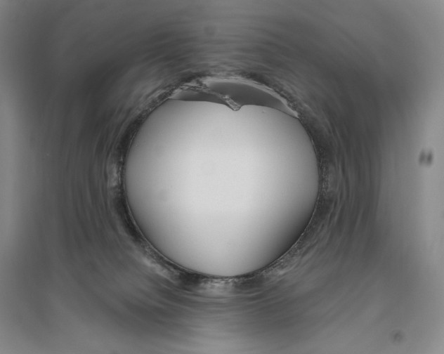 X0000096450084200802211244