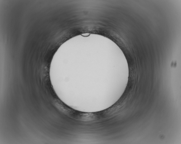 X0000096450087200802211244