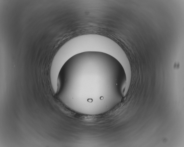 X0000096450088200802211244