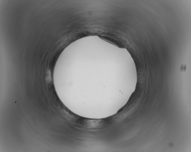 X0000096450089200802211244