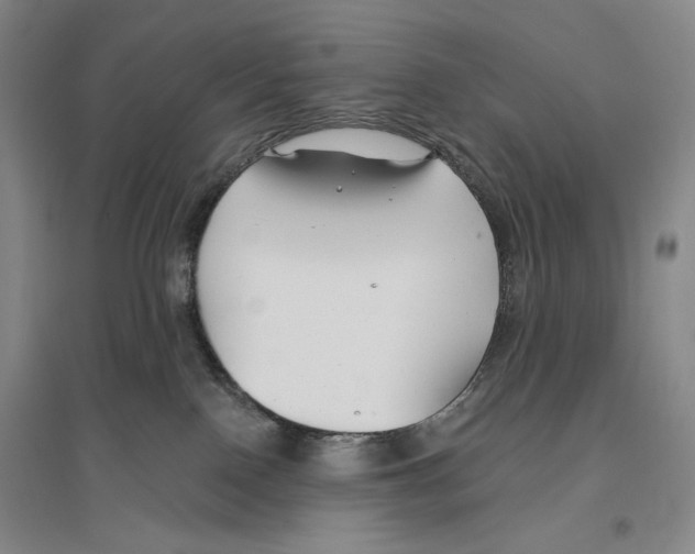 X0000096450090200802211244