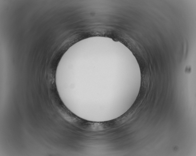 X0000096450091200802211244