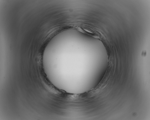 X0000096450092200802211244