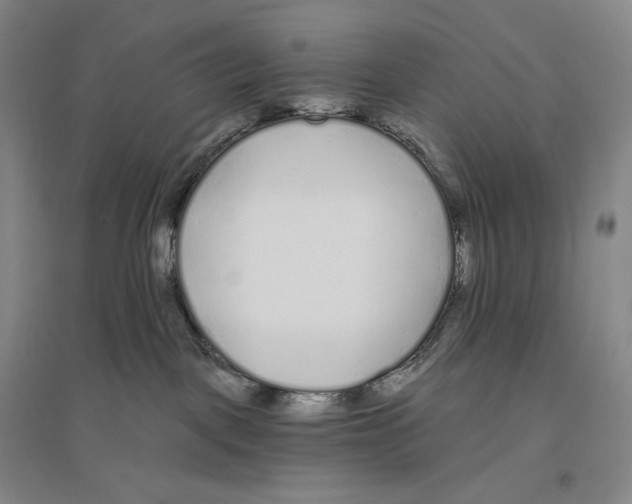 X0000096450093200802211244