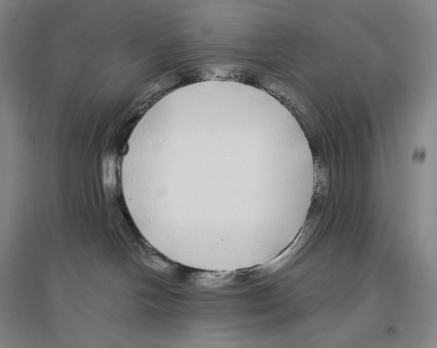 X0000096450094200802211244