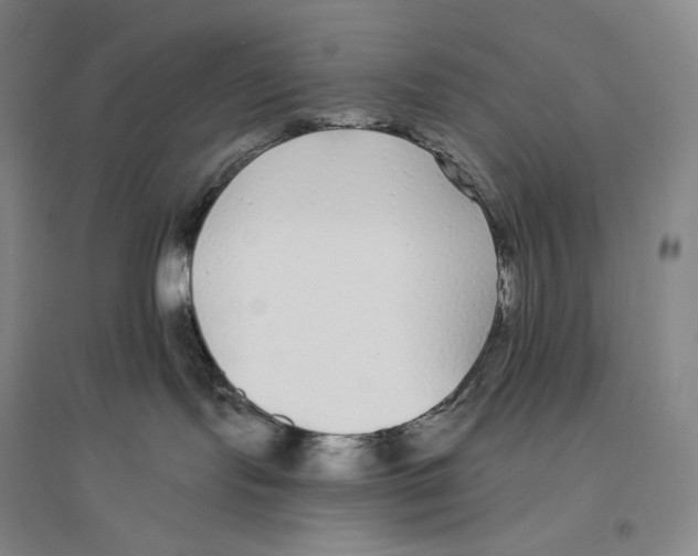 X0000096450095200802211244