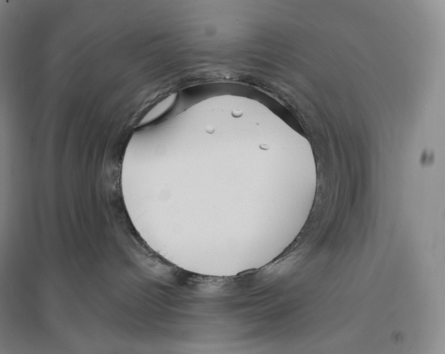 X0000096450096200802211244