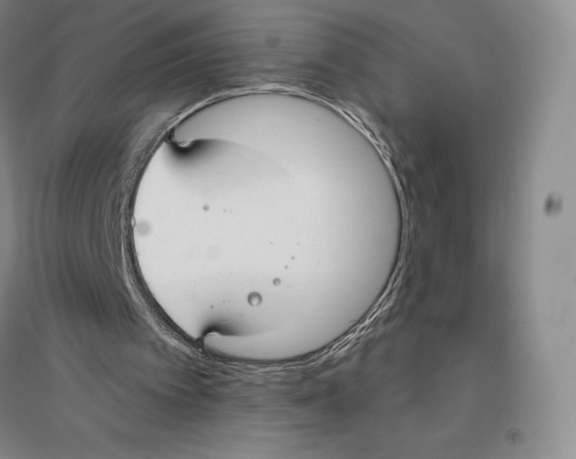 X0000096450097200802211243