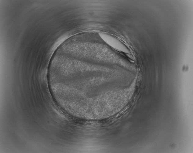 X0000096450099200802211243