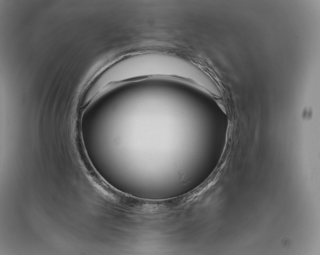 X0000096450101200802211243