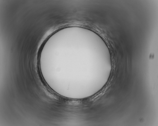 X0000096450102200802211243