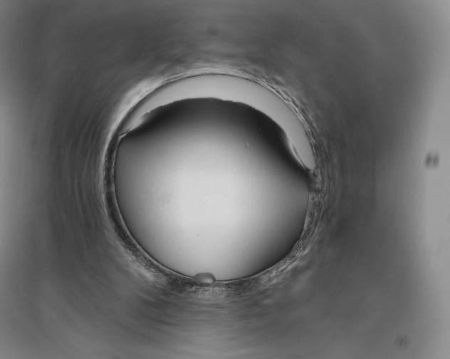 X0000096450104200802211243