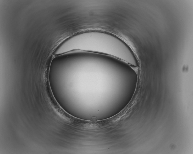 X0000096450105200802211243