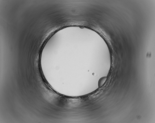 X0000096450107200802211243