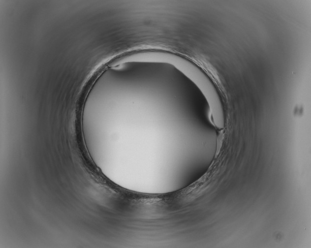 X0000096450108200802211243