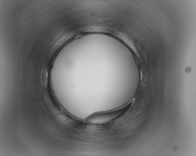 X0000096450109200802211243