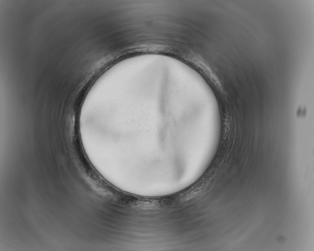 X0000096450110200802211243