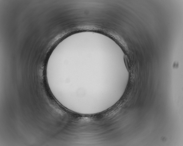 X0000096450111200802211243