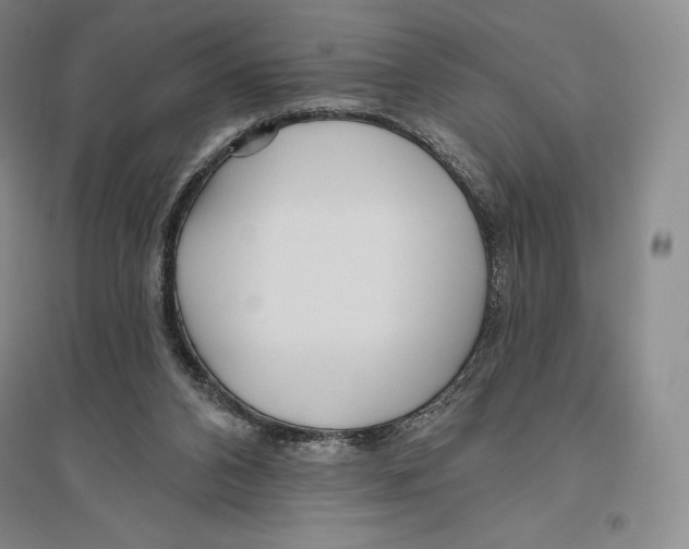 X0000096450112200802211243