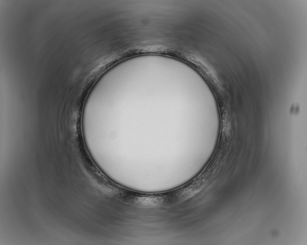 X0000096450115200802211243