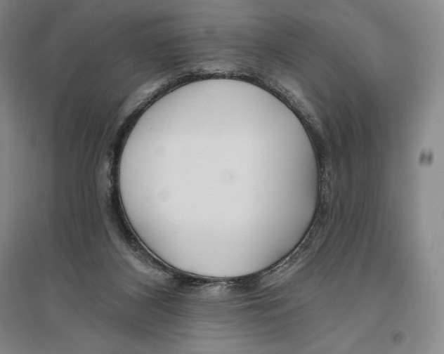 X0000096450116200802211243