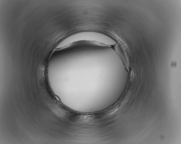 X0000096450117200802211243