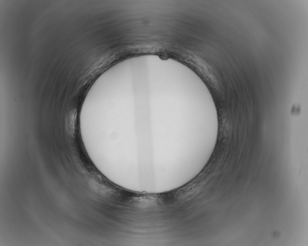 X0000096450118200802211243