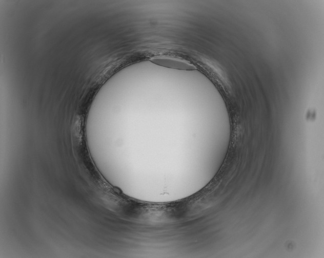 X0000096450121200802211243