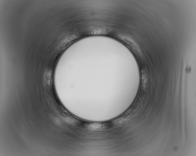 X0000096450123200802211243