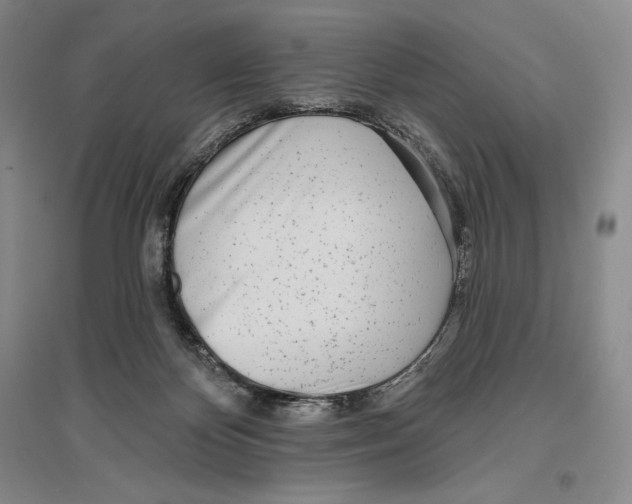 X0000096450124200802211243