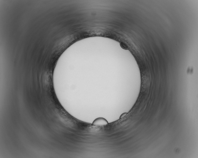 X0000096450126200802211243