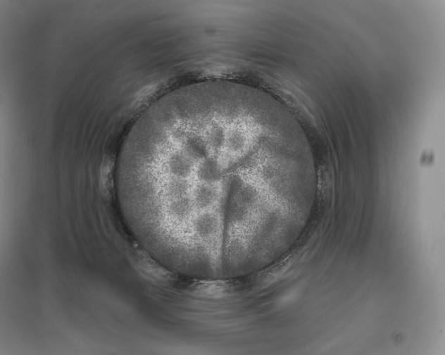 X0000096450127200802211243