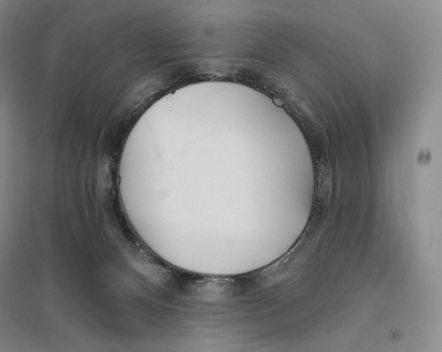 X0000096450128200802211243