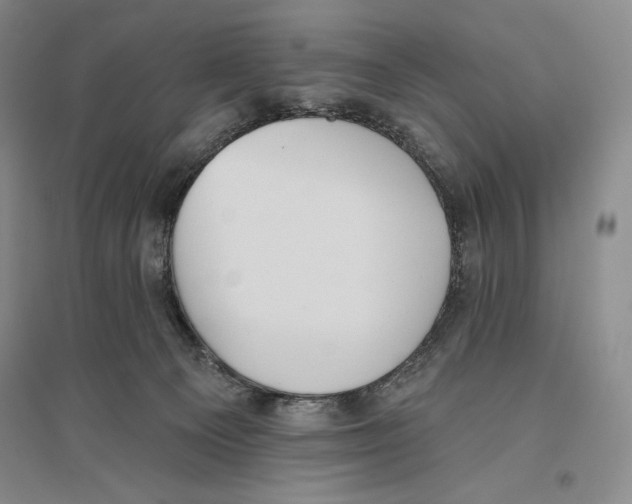 X0000096450129200802211243