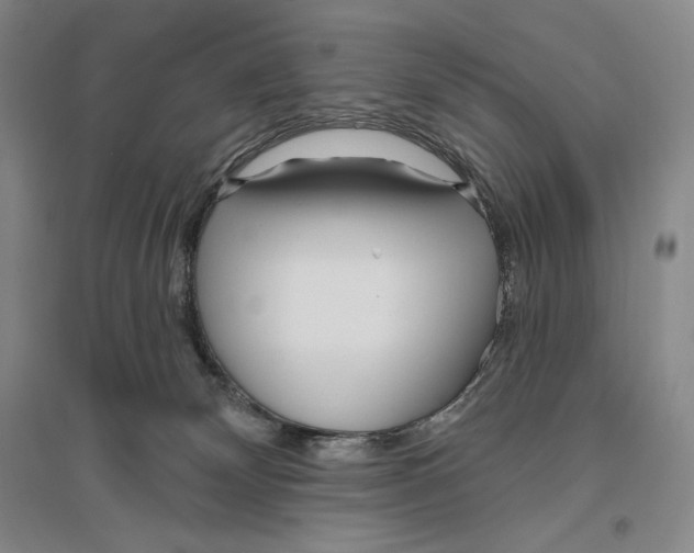 X0000096450132200802211243