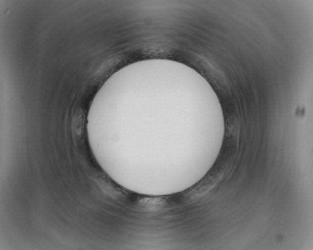 X0000096450133200802211243