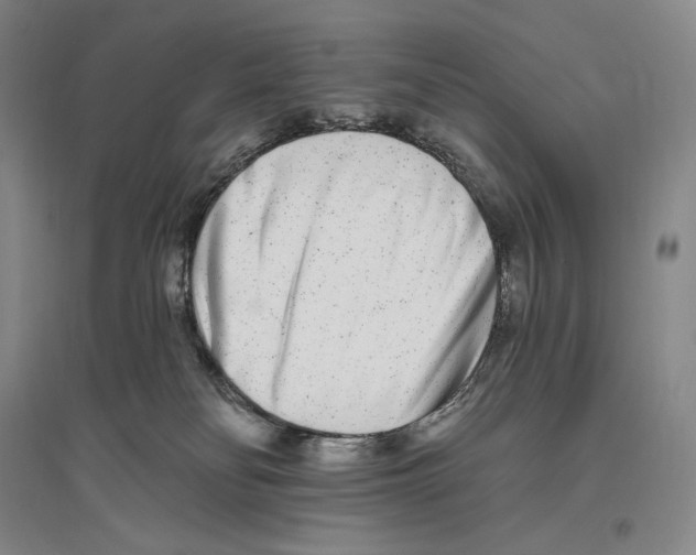 X0000096450134200802211243