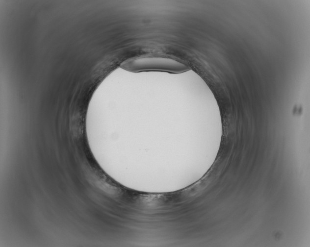 X0000096450136200802211243