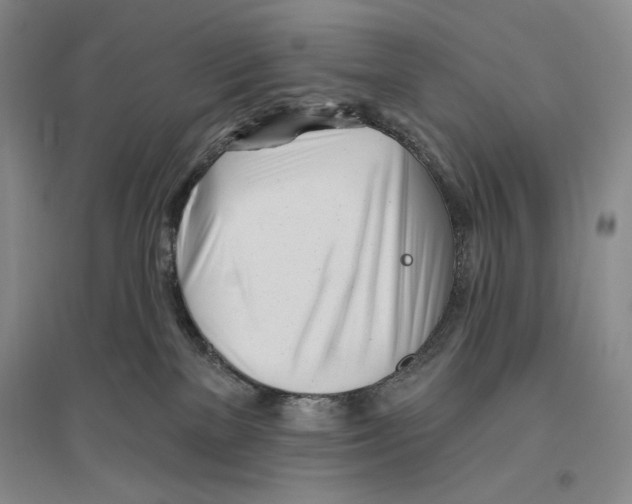 X0000096450137200802211243