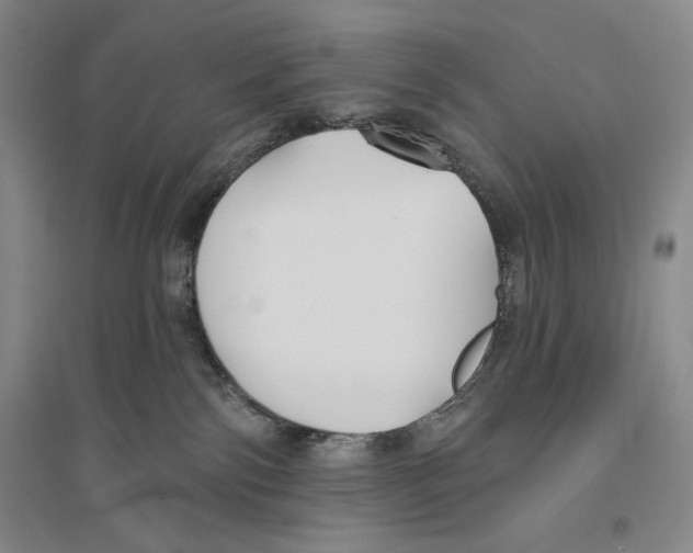 X0000096450138200802211243