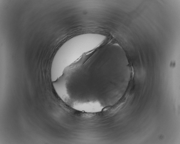 X0000096450139200802211243