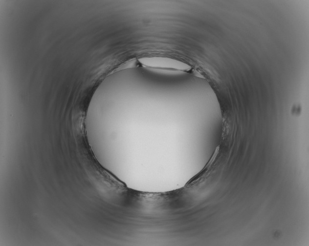 X0000096450141200802211243