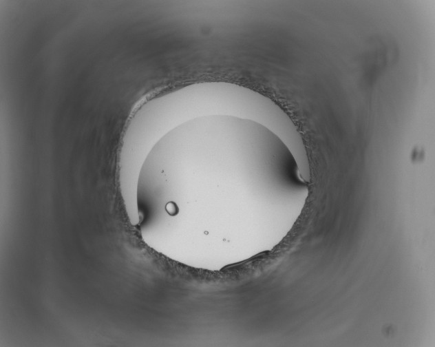 X0000096450144200802211243