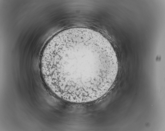 X0000096450146200802211242