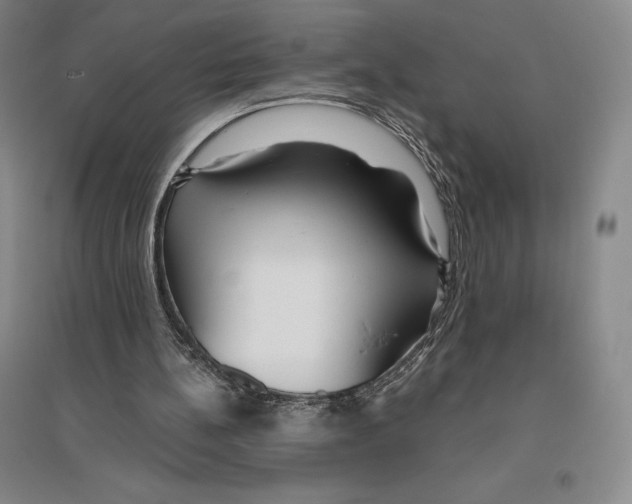 X0000096450148200802211242