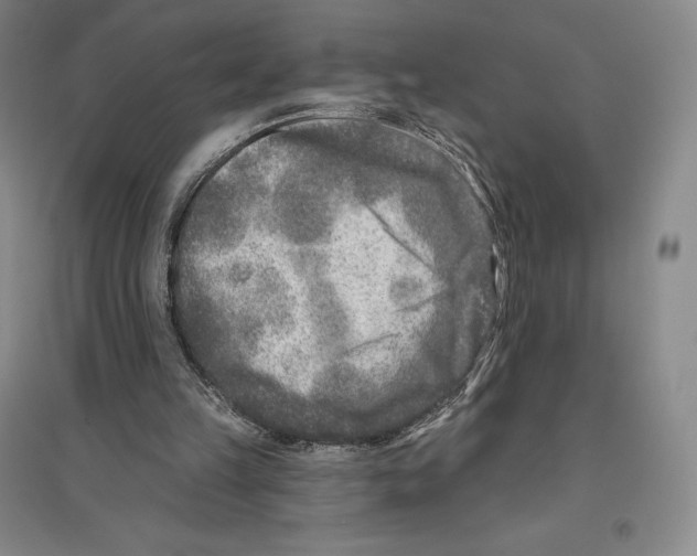 X0000096450149200802211242