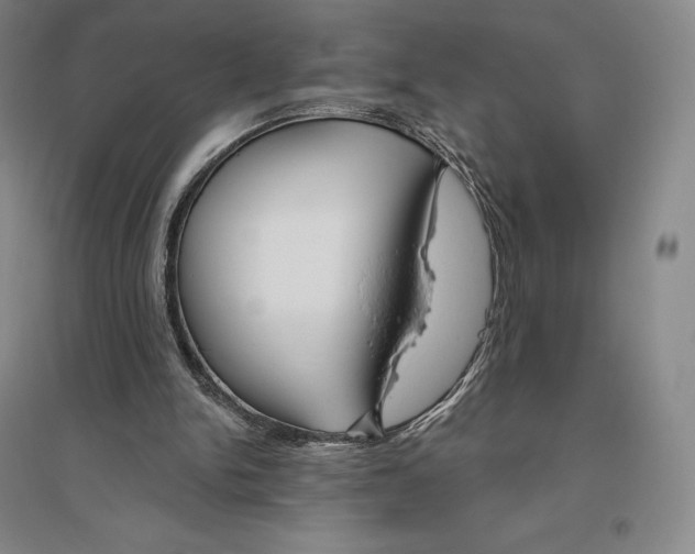 X0000096450150200802211242