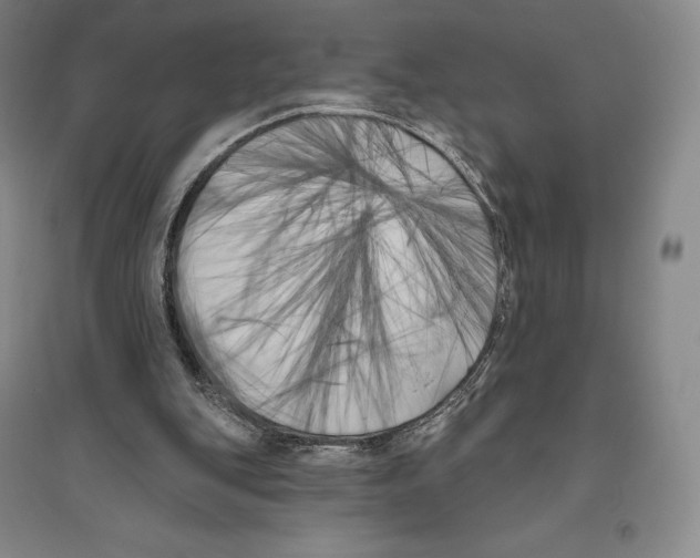 X0000096450151200802211242