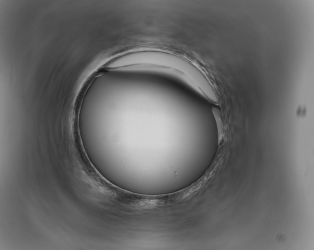 X0000096450152200802211242