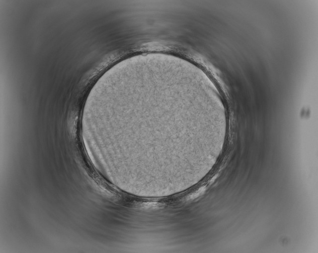 X0000096450153200802211242